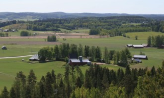 Maisema